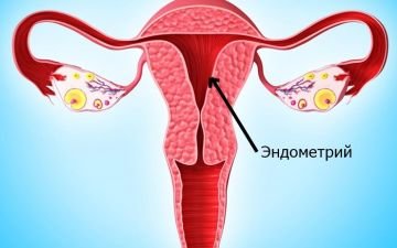 Какой должен быть эндометрий при беременности